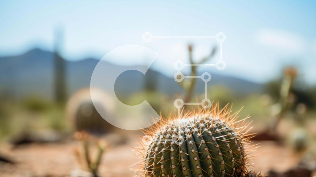 Intra Συλλεκτικό Ξύλινο Παζλ Plywood  4mm - Μονό φυτό κάκτου στην έρημο Σε Ξύλινο Κουτί - Διαστάσεις: 10x10 cm – 25 κομμάτια