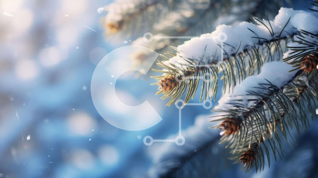 Intra Συλλεκτικό Ξύλινο Παζλ Plywood  4mm - Χιονισμένο κλαδί πεύκου σε μια σκοτεινή χειμερινή σκηνή Σε Ξύλινο Κουτί - Διαστάσεις: 10x10 cm – 25 κομμάτια