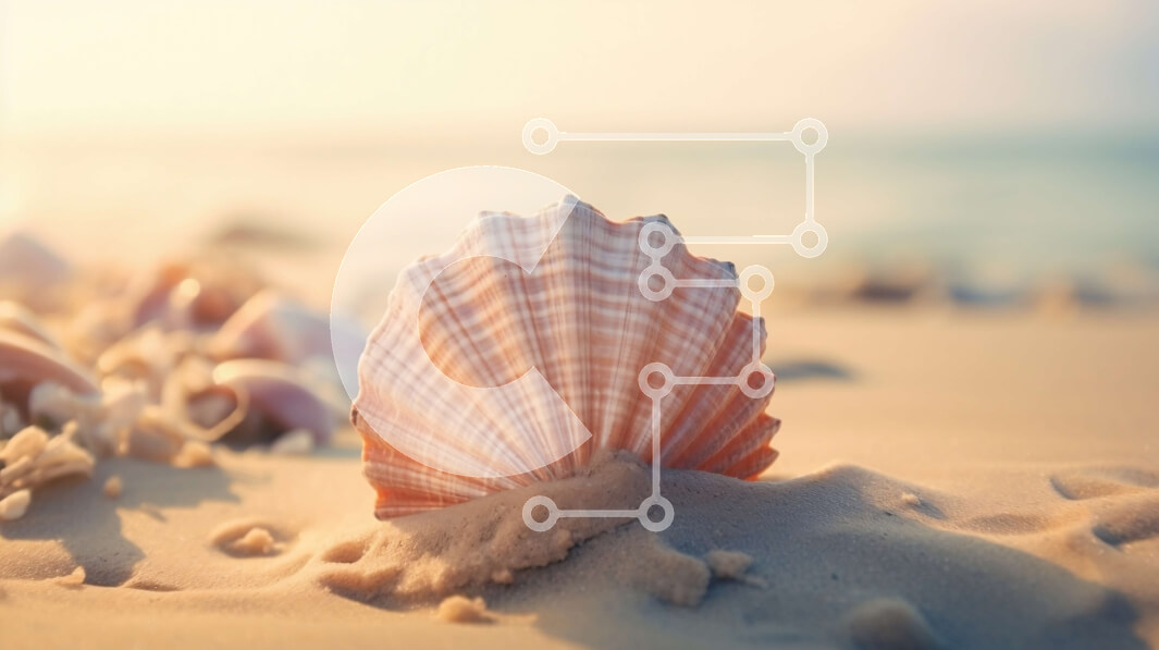 Intra Συλλεκτικό Ξύλινο Παζλ Plywood  4mm - Θαλασσινό κοχύλι στην άμμο στην παραλία Σε Ξύλινο Κουτί - Διαστάσεις: 10x10 cm – 25 κομμάτια