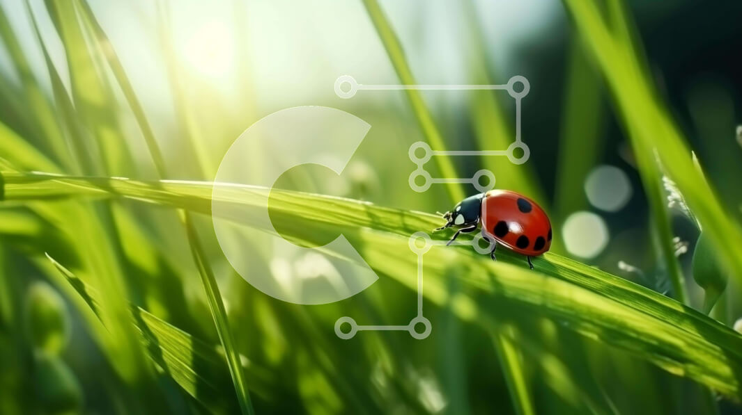 Intra Συλλεκτικό Ξύλινο Παζλ Plywood  4mm - Πασχαλίτσα στο πράσινο γρασίδι με το φως του ήλιου Σε Ξύλινο Κουτί - Διαστάσεις: 10x10 cm – 25 κομμάτια