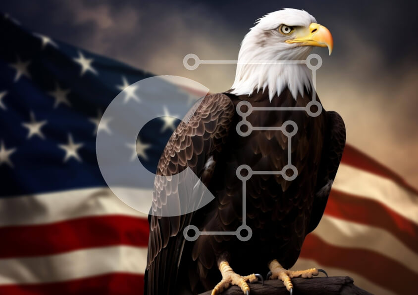 Intra Συλλεκτικό Ξύλινο Παζλ Plywood  4mm - Αετός σκαρφαλωμένος σε κλαδί με αμερικανική σημαία Σε Ξύλινο Κουτί - Διαστάσεις: 10x10 cm – 25 κομμάτια