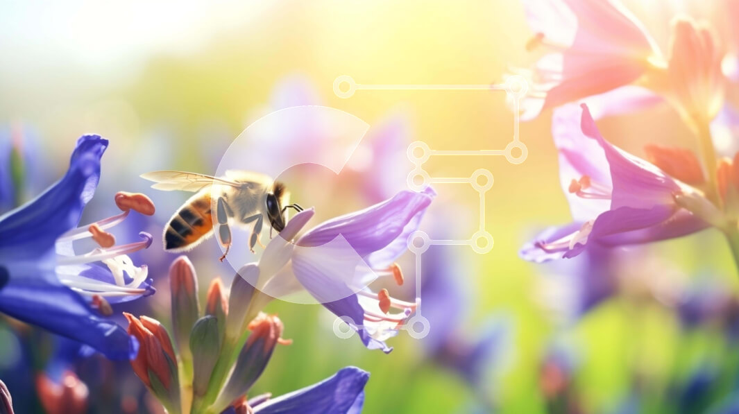 Intra Συλλεκτικό Ξύλινο Παζλ Plywood  4mm - Μέλισσα σε μωβ λουλούδια με μπλε φόντο Σε Ξύλινο Κουτί - Διαστάσεις: 10x10 cm – 25 κομμάτια