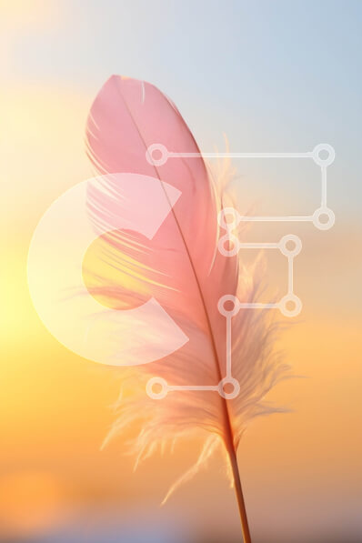 Σετ των 2 Intra Συλλεκτικό Ξύλινο Παζλ Plywood  4mm - Όμορφη κινηματογράφηση σε πρώτο πλάνο ενός ροζ φτερού με εκπληκτικό ηλιοβασίλεμα Σε Ξύλινο Κουτί - Διαστάσεις: 10x10 cm – 25 κομμάτια