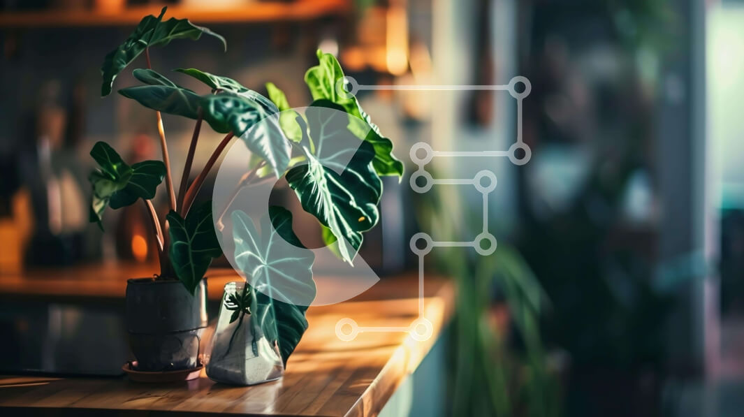 Intra Συλλεκτικό Ξύλινο Παζλ Plywood  4mm - Φυτό σε γλάστρα στον πάγκο κουζίνας με σκεύη και σιδερώστρα Σε Ξύλινο Κουτί - Διαστάσεις Puzzle: 10x10 cm – 25 κομμάτια