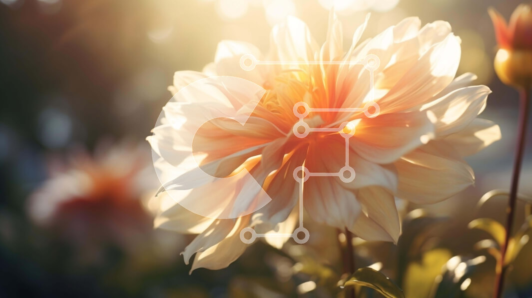 Intra Συλλεκτικό Ξύλινο Παζλ Plywood  4mm - Λευκό λουλούδι σε πλήρη άνθιση με το φως του ήλιου Σε Ξύλινο Κουτί - Διαστάσεις: 10x10 cm – 25 κομμάτια