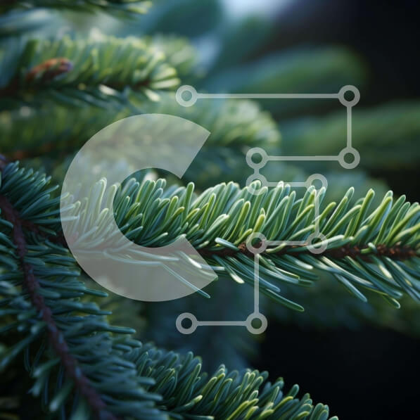 Intra Συλλεκτικό Ξύλινο Παζλ Plywood  4mm - Κλαδί δέντρου πράσινου πεύκου που αναπτύσσεται έξω από το έδαφος Σε Ξύλινο Κουτί - Διαστάσεις: 10x10 cm – 25 κομμάτια