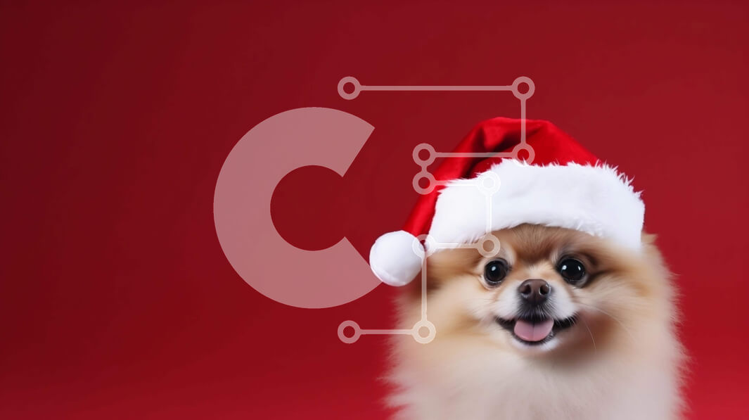 Intra Συλλεκτικό Ξύλινο Παζλ Plywood  4mm - Ευτυχισμένος σκύλος Pomeranian με καπέλο Santa Σε Ξύλινο Κουτί - Διαστάσεις: 10x10 cm – 25 κομμάτια