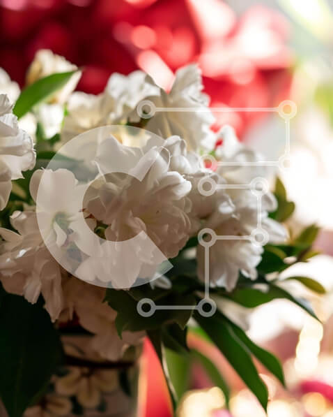 Σετ των 2 Intra Συλλεκτικό Ξύλινο Παζλ Plywood  4mm - Βάζο με λευκά λουλούδια με τριαντάφυλλα, γαρίφαλα και κρίνους Σε Ξύλινο Κουτί - Διαστάσεις: 10x10 cm – 25 κομμάτια