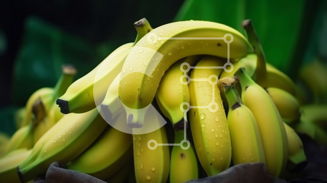 Σετ των 2 Intra Συλλεκτικό Ξύλινο Παζλ Plywood  4mm - Σωρός από μπανάνες Σε Ξύλινο Κουτί - Διαστάσεις: 10x10 cm – 25 κομμάτια