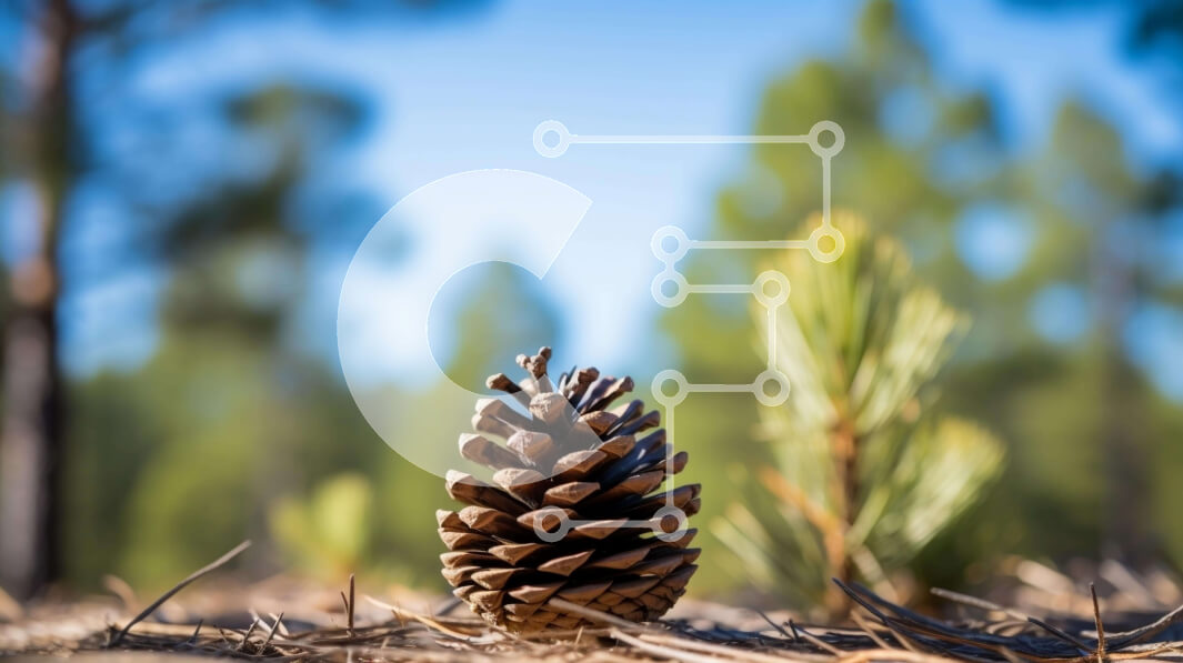 Intra Συλλεκτικό Ξύλινο Παζλ Plywood  4mm - Μονό κουκουνάρι σε δάσος Σε Ξύλινο Κουτί - Διαστάσεις: 10x10 cm – 25 κομμάτια