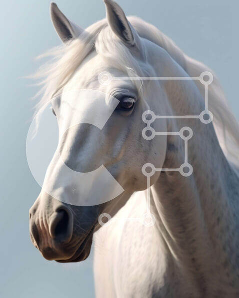 Σετ των 2 Intra Συλλεκτικό Ξύλινο Παζλ Plywood  4mm - Λευκό άλογο με μακριά χαίτη και ουρά Σε Ξύλινο Κουτί - Διαστάσεις: 10x10 cm – 25 κομμάτια