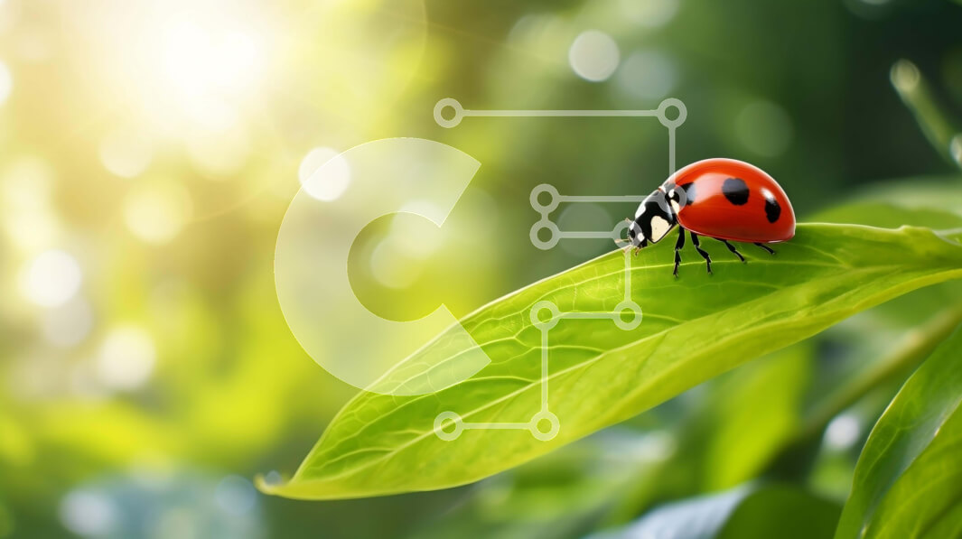 Intra Συλλεκτικό Ξύλινο Παζλ Plywood  4mm - Πασχαλίτσα στο πράσινο φύλλο με το φως του ήλιου Σε Ξύλινο Κουτί - Διαστάσεις: 10x10 cm – 25 κομμάτια