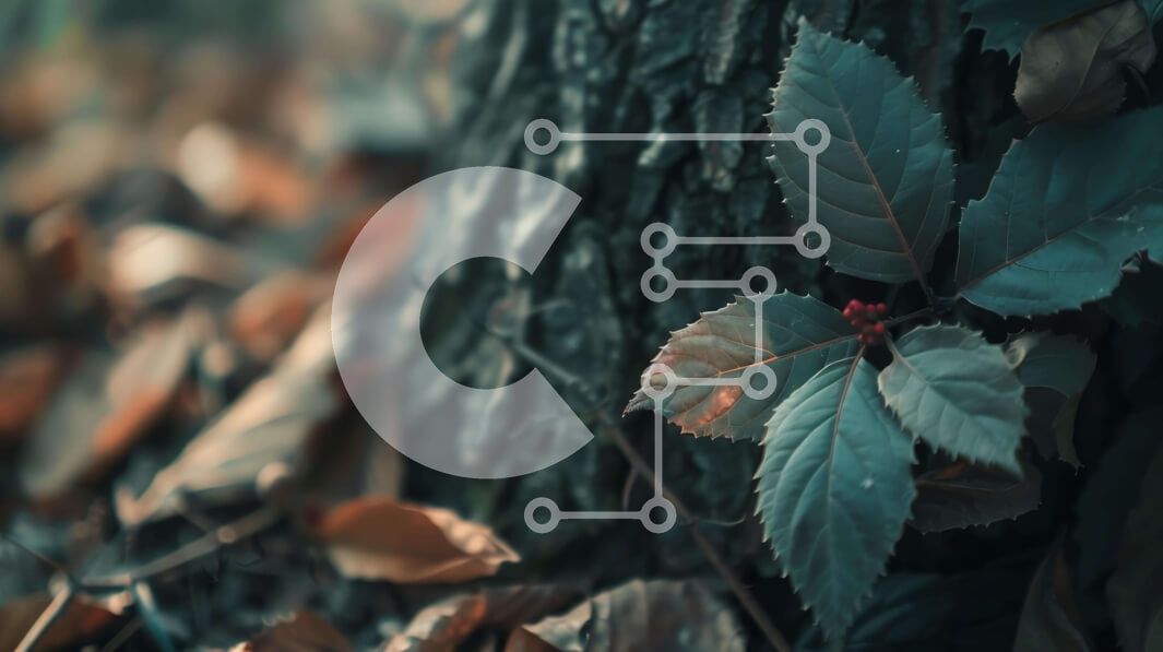 Intra Συλλεκτικό Ξύλινο Παζλ Plywood  4mm - Κοντινό πλάνο ενός φύλλου και των μούρων σε έναν παλιό κορμό δέντρου Σε Ξύλινο Κουτί - Διαστάσεις: 10x10 cm – 25 κομμάτια