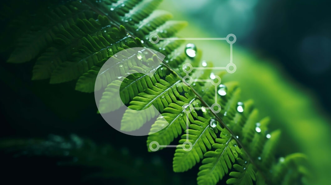 Intra Συλλεκτικό Ξύλινο Παζλ Plywood  4mm - Πράσινο φύλλο φτέρης με σταγονίδια νερού Σε Ξύλινο Κουτί - Διαστάσεις: 10x10 cm – 25 κομμάτια