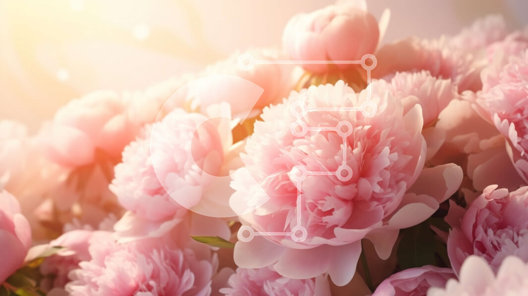 Intra Συλλεκτικό Ξύλινο Παζλ Plywood  4mm - Μπουκέτο με ροζ παιώνιες στο φως του ήλιου Σε Ξύλινο Κουτί - Διαστάσεις: 10x10 cm – 25 κομμάτια