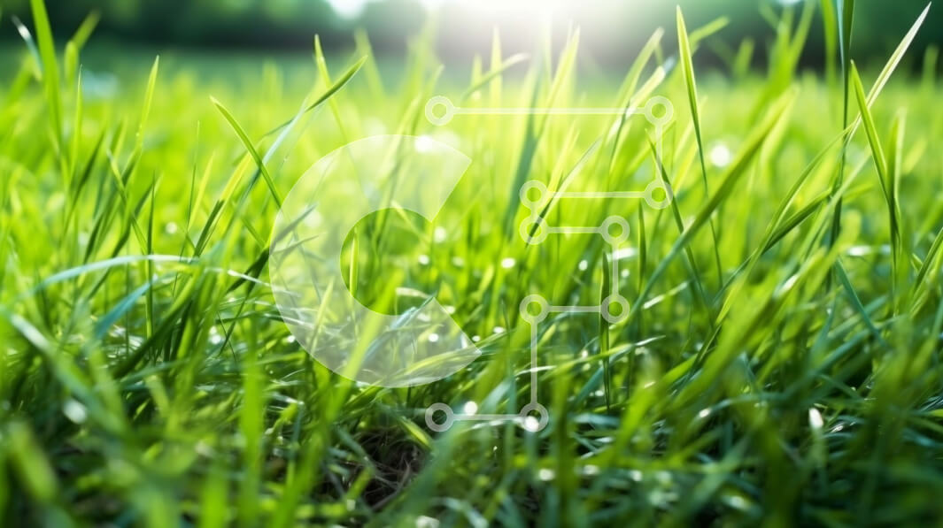 Intra Συλλεκτικό Ξύλινο Παζλ Plywood  4mm - Όμορφη εικόνα της ηλιόλουστης πράσινης χλόης σε ένα λιβάδι Σε Ξύλινο Κουτί - Διαστάσεις: 10x10 cm – 25 κομμάτια