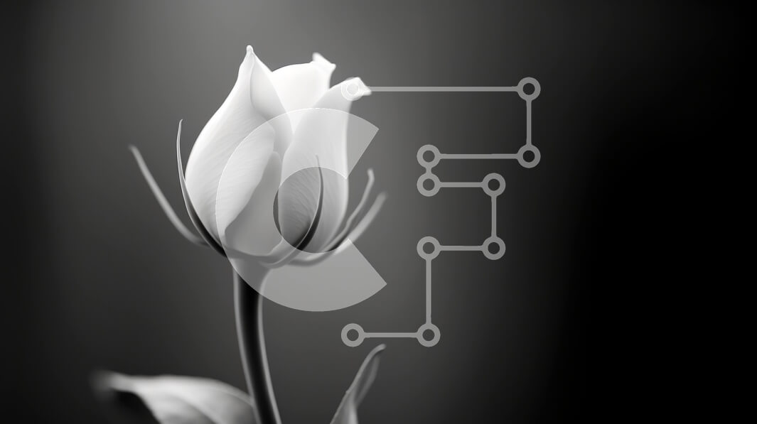 Intra Συλλεκτικό Ξύλινο Παζλ Plywood  4mm - Ασπρόμαυρη κινηματογράφηση σε πρώτο πλάνο λευκού τριαντάφυλλου Σε Ξύλινο Κουτί - Διαστάσεις: 10x10 cm – 25 κομμάτια