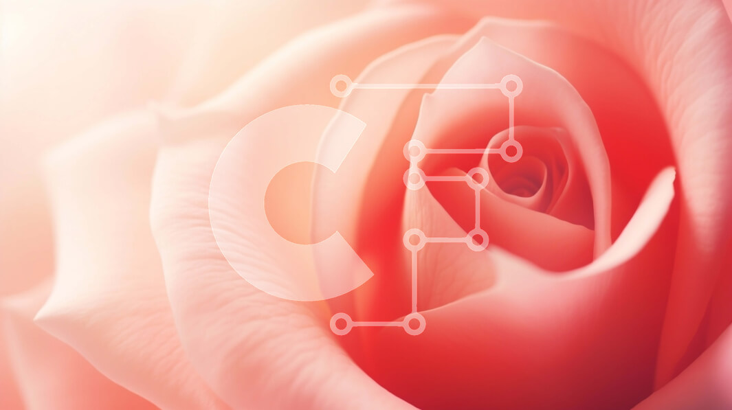 Intra Συλλεκτικό Ξύλινο Παζλ Plywood  4mm - Κοντινό πλάνο ενός ροζ τριαντάφυλλου Σε Ξύλινο Κουτί - Διαστάσεις: 10x10 cm – 25 κομμάτια