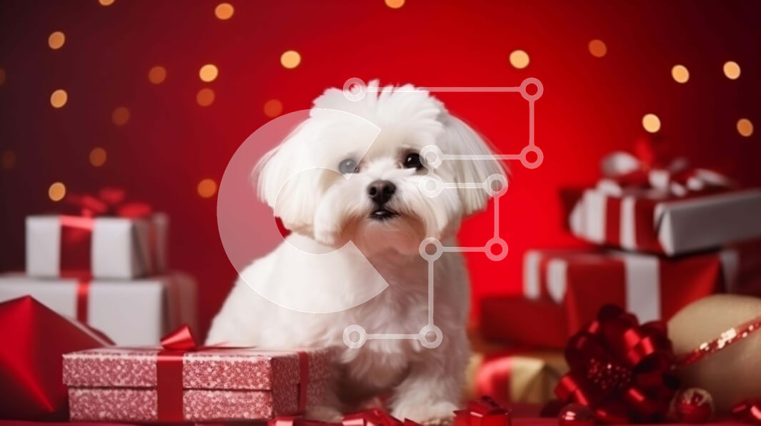 Intra Συλλεκτικό Ξύλινο Παζλ Plywood  4mm - Μικρό λευκό σκυλί που κάθεται μπροστά από το κόκκινο φόντο με δώρα Σε Ξύλινο Κουτί - Διαστάσεις: 10x10 cm – 25 κομμάτια