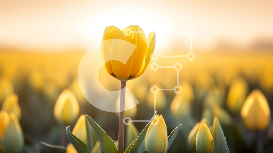 Intra Συλλεκτικό Ξύλινο Παζλ Plywood  4mm - Μονή κίτρινη τουλίπα σε ένα χωράφι Σε Ξύλινο Κουτί - Διαστάσεις: 10x10 cm – 25 κομμάτια