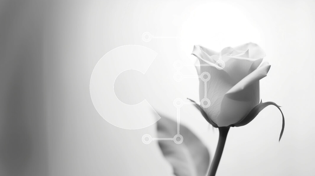 Intra Συλλεκτικό Ξύλινο Παζλ Plywood  4mm - Μονό λευκό τριαντάφυλλο σε ασπρόμαυρο φόντο Σε Ξύλινο Κουτί - Διαστάσεις Puzzle: 10x10 cm – 25 κομμάτια