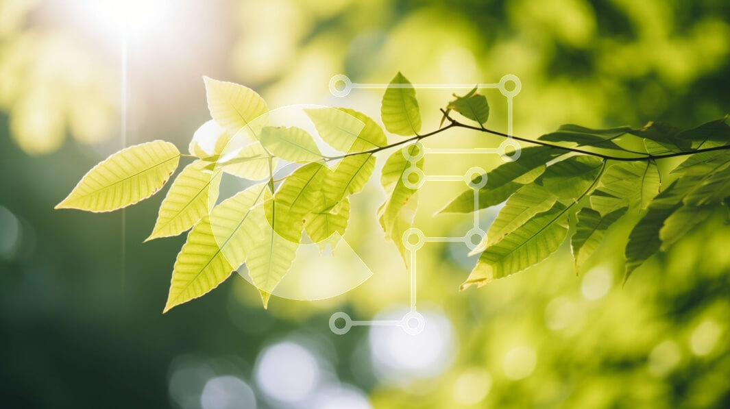 Intra Συλλεκτικό Ξύλινο Παζλ Plywood  4mm - Πράσινα φύλλα με το φως του ήλιου να λάμπει Σε Ξύλινο Κουτί - Διαστάσεις: 10x10 cm – 25 κομμάτια