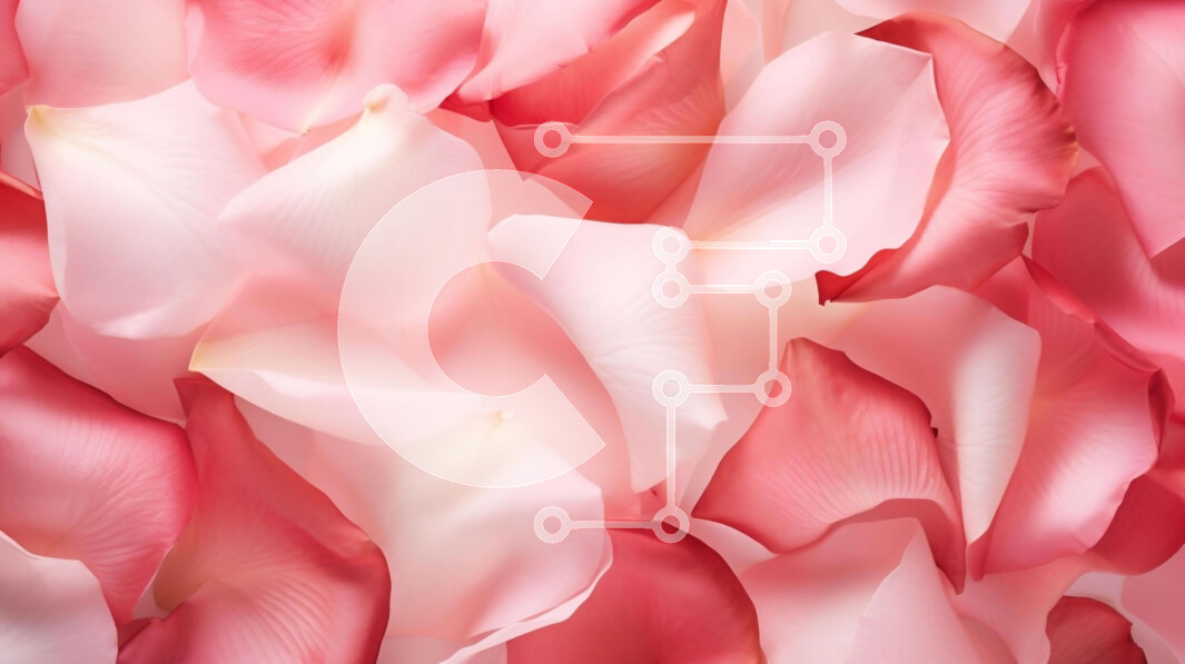 Intra Συλλεκτικό Ξύλινο Παζλ Plywood  4mm - Ροζ και λευκό ροζ πέταλο φόντο Σε Ξύλινο Κουτί - Διαστάσεις: 10x10 cm – 25 κομμάτια