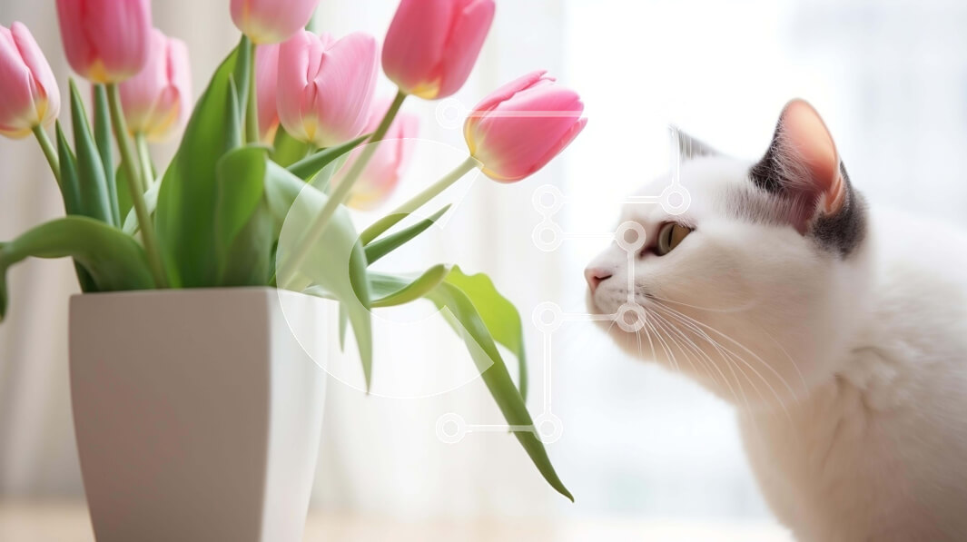 Σετ των 2 Intra Συλλεκτικό Ξύλινο Παζλ Plywood  4mm - Λευκή γάτα που θαυμάζει τα ροζ λουλούδια Σε Ξύλινο Κουτί - Διαστάσεις: 10x10 cm – 25 κομμάτια