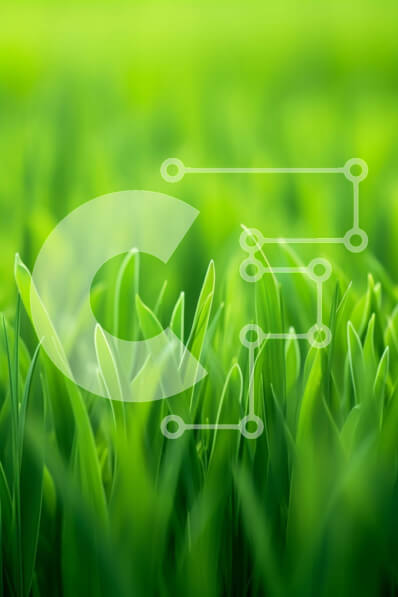 Σετ των 2 Intra Συλλεκτικό Ξύλινο Παζλ Plywood  4mm - Κοντινό πλάνο του πράσινου γηπέδου με το γρασίδι Σε Ξύλινο Κουτί - Διαστάσεις: 10x10 cm – 25 κομμάτια