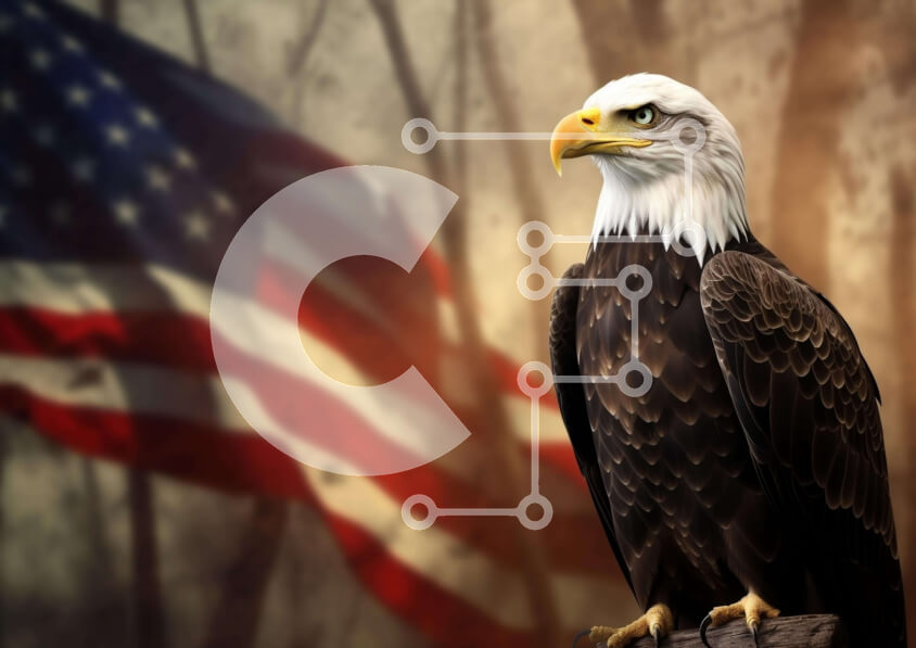 Σετ των 2 Intra Συλλεκτικό Ξύλινο Παζλ Plywood  4mm - Αμερικανικός αετός με την αμερικανική σημαία στο φόντο Σε Ξύλινο Κουτί - Διαστάσεις: 10x10 cm – 25 κομμάτια