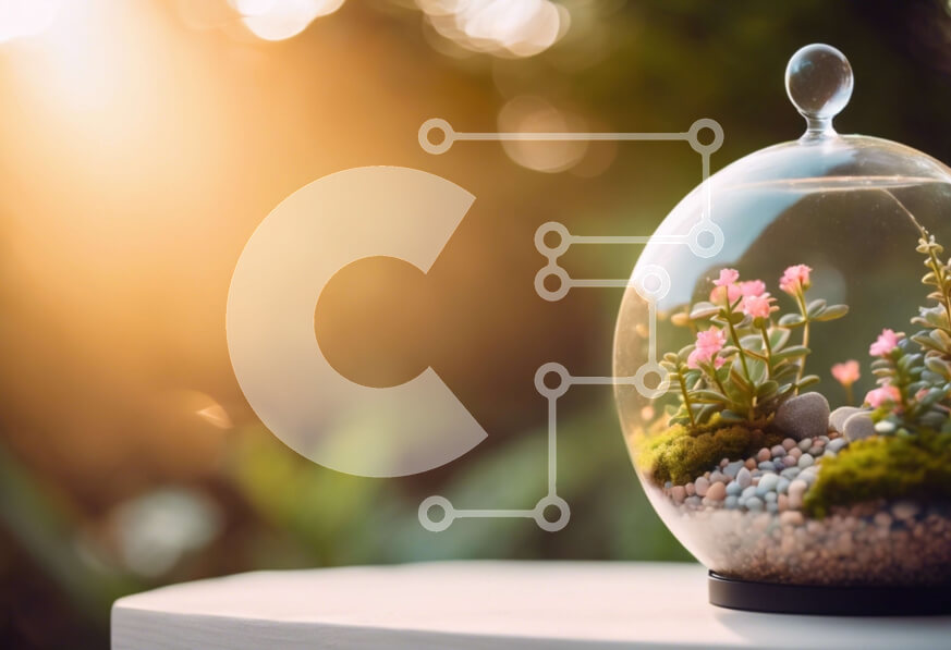 Intra Συλλεκτικό Ξύλινο Παζλ Plywood  4mm - Γυάλινο Terrarium με παχύφυτα και λουλούδια σε τραπέζι εξωτερικού χώρου Σε Ξύλινο Κουτί - Διαστάσεις Puzzle: 10x10 cm – 25 κομμάτια