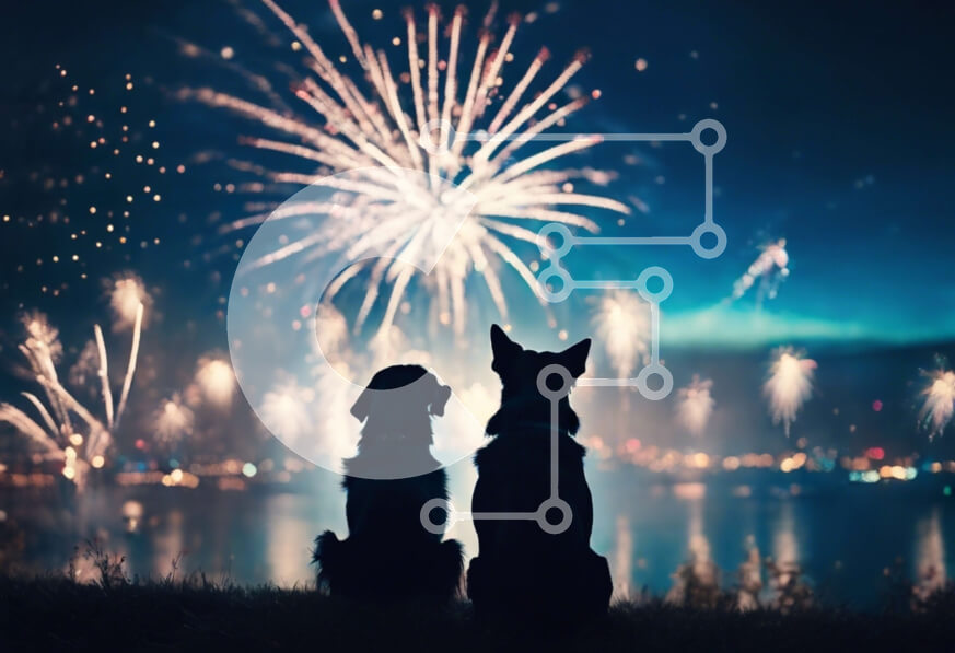 Σετ των 2 Intra Συλλεκτικό Ξύλινο Παζλ Plywood  4mm - Δύο σκυλιά κάθονται σε έναν λόφο και παρακολουθούν πυροτεχνήματα Σε Ξύλινο Κουτί - Διαστάσεις: 10x10 cm – 25 κομμάτια