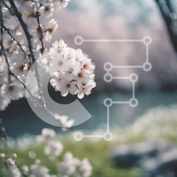 Intra Συλλεκτικό Ξύλινο Παζλ Plywood  4mm - Λευκά άνθη σε κλαδί δέντρου την άνοιξη Σε Ξύλινο Κουτί - Διαστάσεις: 10x10 cm – 25 κομμάτια