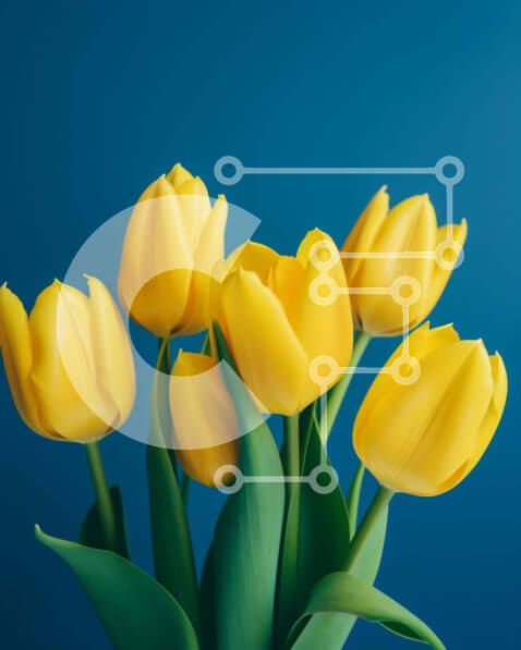 Intra Συλλεκτικό Ξύλινο Παζλ Plywood  4mm - Μπουκέτο με κίτρινες τουλίπες σε ανοιχτό βάζο με μπλε φόντο Σε Ξύλινο Κουτί - Διαστάσεις: 10x10 cm – 25 κομμάτια