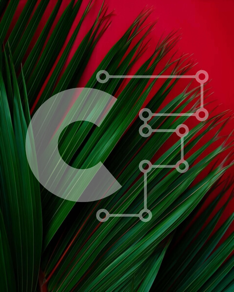 Intra Συλλεκτικό Ξύλινο Παζλ Plywood  4mm - Λεπτομερής κινηματογράφηση σε πρώτο πλάνο του πράσινου φύλλου φοίνικα Σε Ξύλινο Κουτί - Διαστάσεις: 10x10 cm – 25 κομμάτια