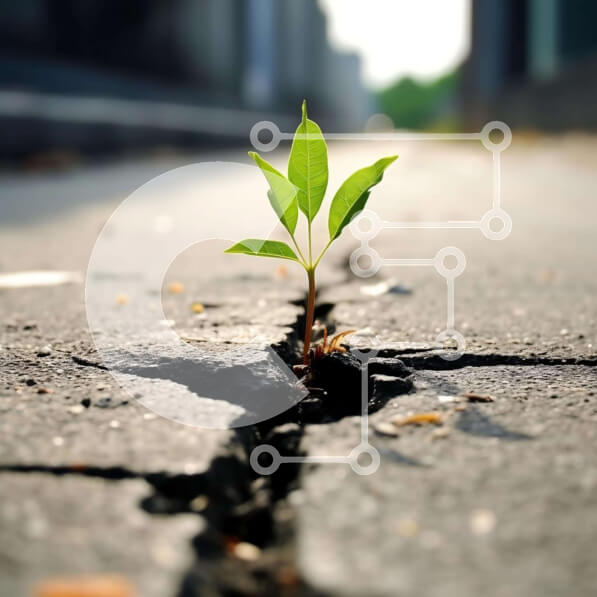 Intra Συλλεκτικό Ξύλινο Παζλ Plywood  4mm - Πράσινο φυτό που αναπτύσσεται από τη ρωγμή στο δρόμο Σε Ξύλινο Κουτί - Διαστάσεις: 10x10 cm – 25 κομμάτια