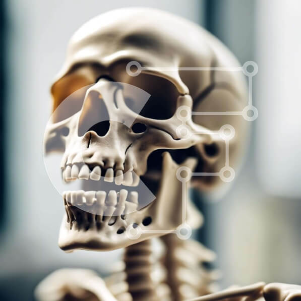 Intra Συλλεκτικό Ξύλινο Παζλ Plywood  4mm - Ανθρώπινος σκελετός σε καλή κατάσταση Σε Ξύλινο Κουτί - Διαστάσεις Puzzle: 10x10 cm – 25 κομμάτια