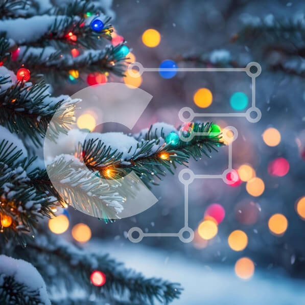 Intra Συλλεκτικό Ξύλινο Παζλ Plywood  4mm - Χιονισμένο κλαδί δέντρου διακοσμημένο με χριστουγεννιάτικα φωτάκια Σε Ξύλινο Κουτί - Διαστάσεις: 10x10 cm – 25 κομμάτια