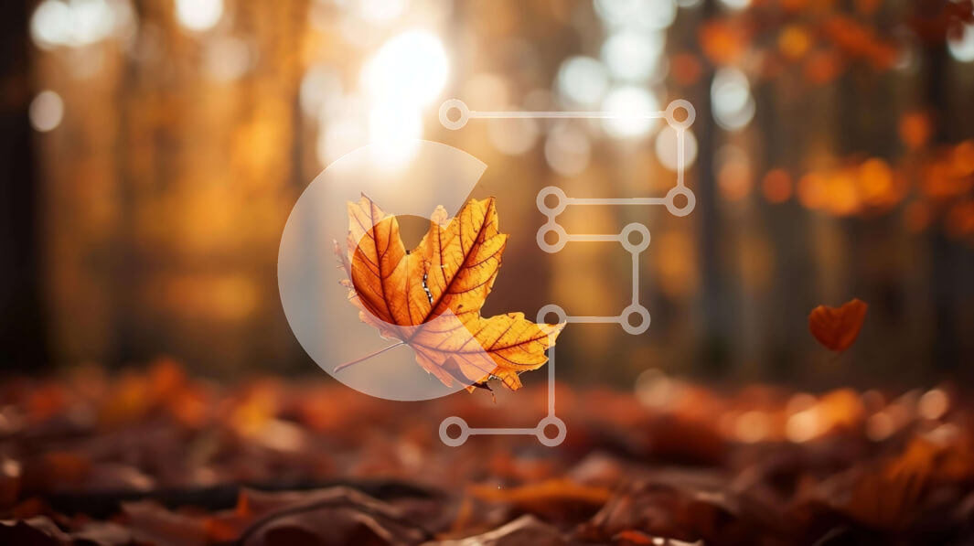 Intra Συλλεκτικό Ξύλινο Παζλ Plywood  4mm - Ενιαίο φύλλο πορτοκαλιού στο δάσος Σε Ξύλινο Κουτί - Διαστάσεις: 10x10 cm – 25 κομμάτια