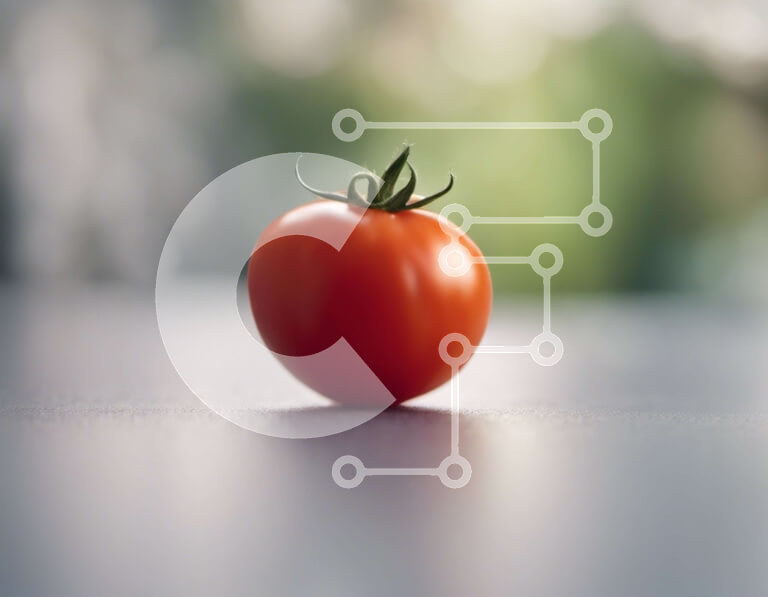 Σετ των 2 Intra Συλλεκτικό Ξύλινο Παζλ Plywood  4mm - Φρέσκια και ώριμη κόκκινη ντομάτα στο τραπέζι Σε Ξύλινο Κουτί - Διαστάσεις: 10x10 cm – 25 κομμάτια