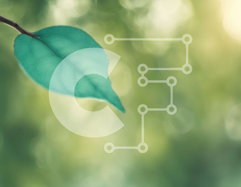 Intra Συλλεκτικό Ξύλινο Παζλ Plywood  4mm - Πράσινο φύλλο που κρέμεται από ένα κλαδί Σε Ξύλινο Κουτί - Διαστάσεις: 10x10 cm – 25 κομμάτια