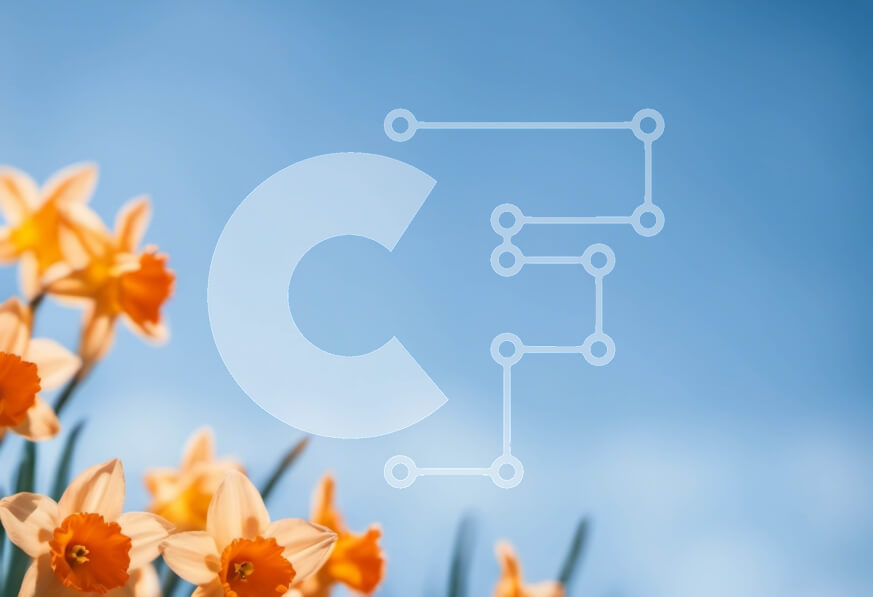 Intra Συλλεκτικό Ξύλινο Παζλ Plywood  4mm - Πορτοκαλί ασφόδελοι σε ένα χωράφι ενάντια σε έναν καθαρό μπλε ουρανό Σε Ξύλινο Κουτί - Διαστάσεις: 10x10 cm – 25 κομμάτια