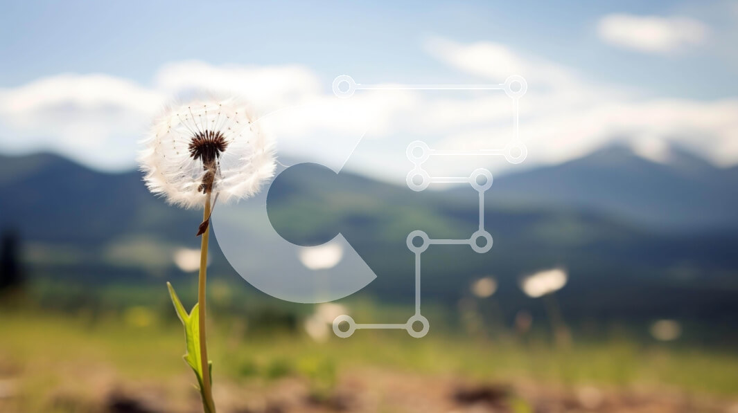 Intra Συλλεκτικό Ξύλινο Παζλ Plywood  4mm - Λευκή πικραλίδα σε ανοιχτό πεδίο με βουνά Σε Ξύλινο Κουτί - Διαστάσεις: 10x10 cm – 25 κομμάτια