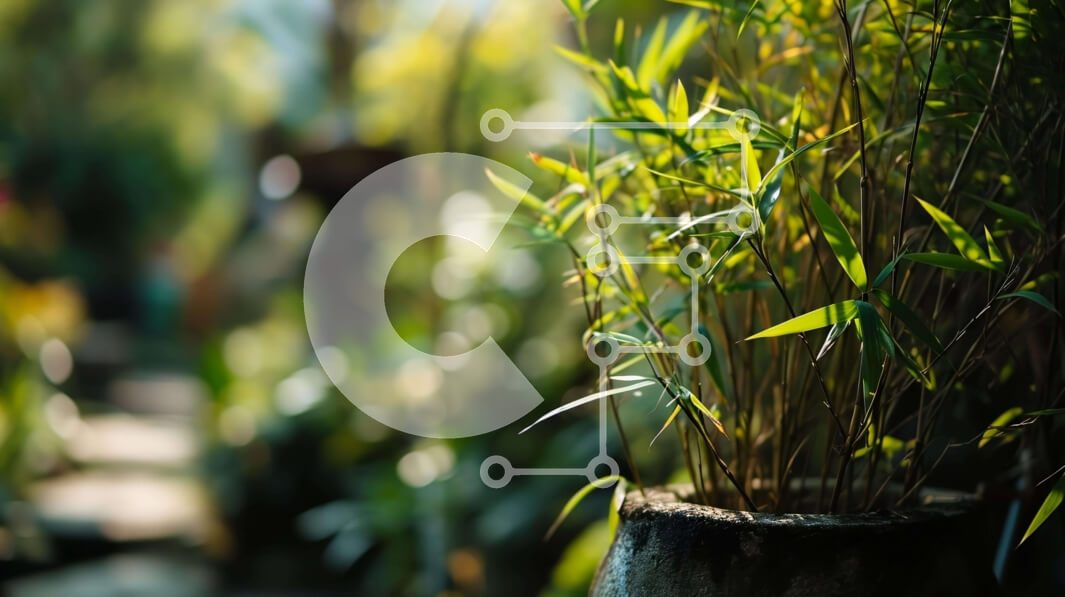 Intra Συλλεκτικό Ξύλινο Παζλ Plywood  4mm - Φυτό μπαμπού σε γλάστρα που αναπτύσσεται στον κήπο Σε Ξύλινο Κουτί - Διαστάσεις: 10x10 cm – 25 κομμάτια