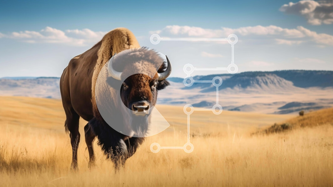 Intra Συλλεκτικό Ξύλινο Παζλ Plywood  4mm - Καφέ βίσονας σε ανοιχτό χορτάρι με λόφους και βουνά Σε Ξύλινο Κουτί - Διαστάσεις: 10x10 cm – 25 κομμάτια