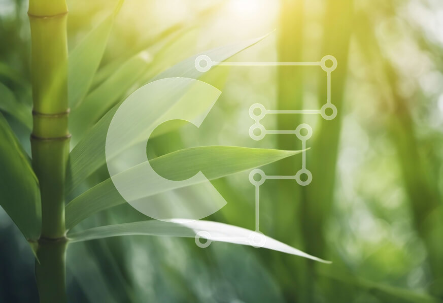 Intra Συλλεκτικό Ξύλινο Παζλ Plywood  4mm - Κοντινή όψη ενός φυτού μπαμπού με πράσινα φύλλα και μίσχους Σε Ξύλινο Κουτί - Διαστάσεις: 10x10 cm – 25 κομμάτια