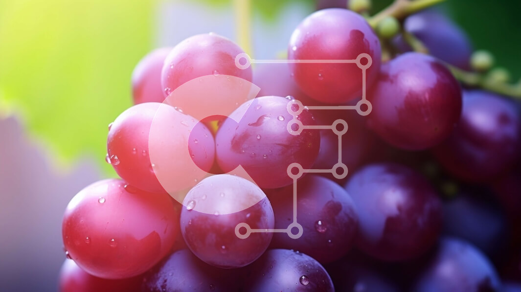 Intra Συλλεκτικό Ξύλινο Παζλ Plywood  4mm - Κόκκινα σταφύλια που κρέμονται από ένα αμπέλι Σε Ξύλινο Κουτί - Διαστάσεις: 10x10 cm – 25 κομμάτια