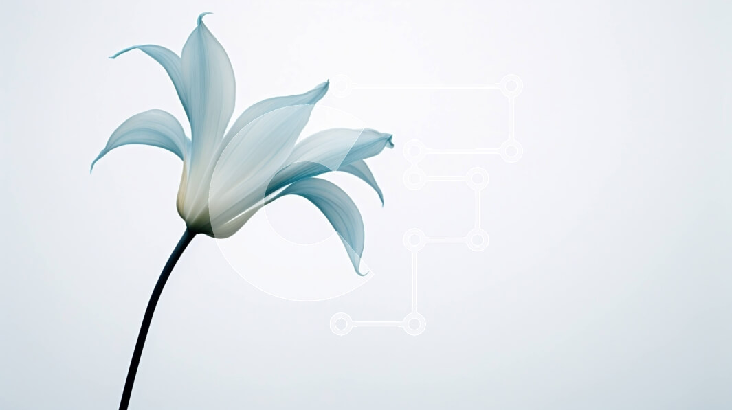 Intra Συλλεκτικό Ξύλινο Παζλ Plywood  4mm - Μπλε λουλούδι σε πλήρη άνθιση σε λευκό φόντο Σε Ξύλινο Κουτί - Διαστάσεις: 10x10 cm – 25 κομμάτια