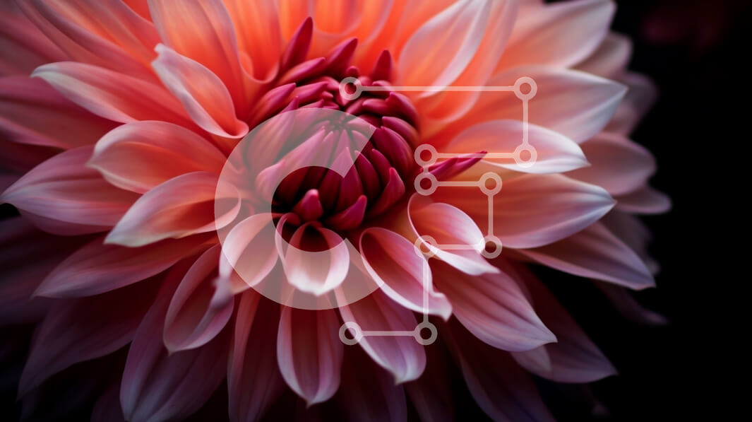 Intra Συλλεκτικό Ξύλινο Παζλ Plywood  4mm - Κοντινό πλάνο του ανθισμένου πορτοκαλιού λουλουδιού στο σκοτάδι Σε Ξύλινο Κουτί - Διαστάσεις: 10x10 cm – 25 κομμάτια