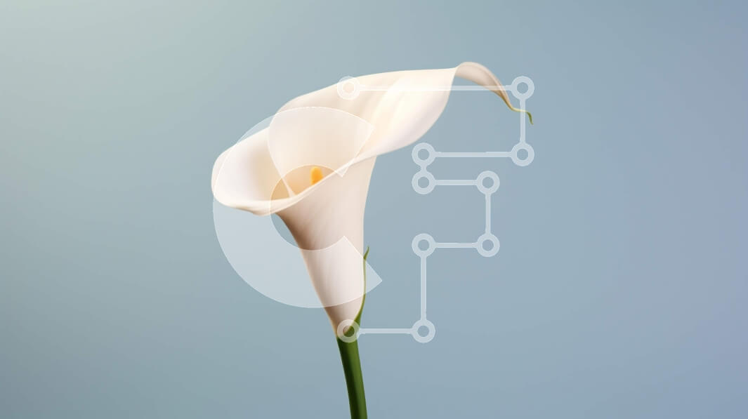 Intra Συλλεκτικό Ξύλινο Παζλ Plywood  4mm - Όμορφη White Calla Lily Σε Ξύλινο Κουτί - Διαστάσεις: 10x10 cm – 25 κομμάτια